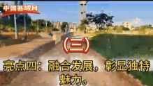 平安建设见成效，乡村振兴建新章（三）