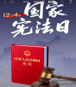 宪光映南粤 法脉润初心  —广东以宪法日为媒筑牢法治信仰之基