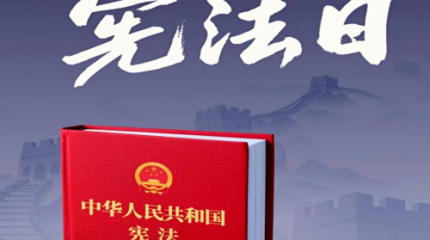 宪光映南粤 法脉润初心  —广东以宪法日为媒筑牢法治信仰之基