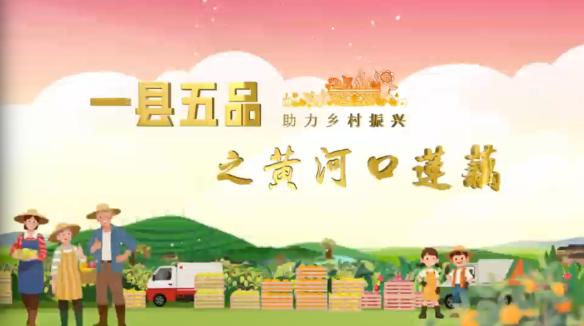 县域优选——山东东营莲藕