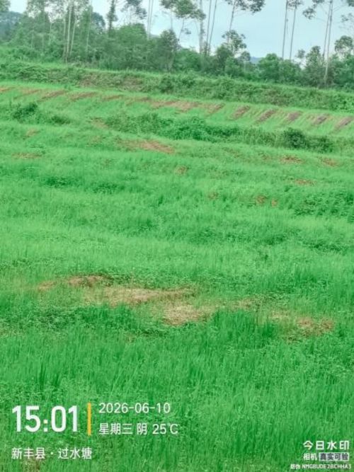 图片 7